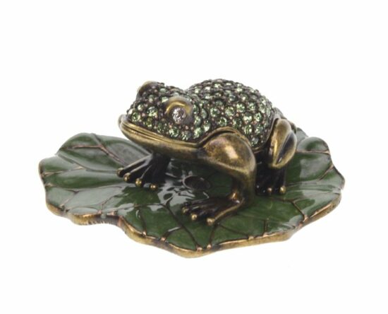 Doosje Kikker op blad