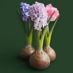 Bloembol vaasje groepje