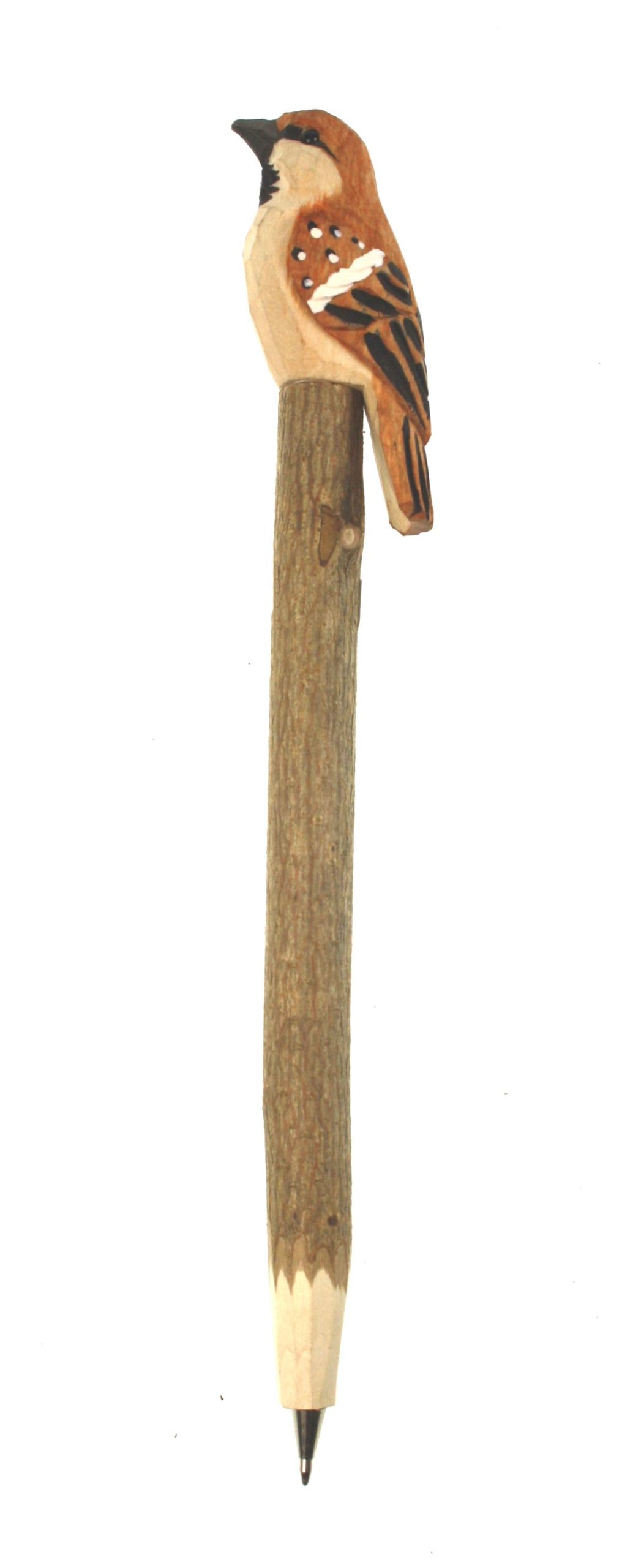 Pen hout Mus