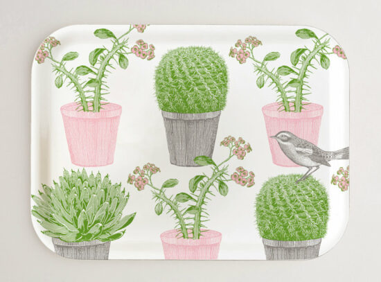 Dienblad vogel en cactussen