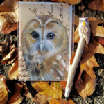 Houten Pen Uil en Dubbele kaarten (6) met envelop Uil