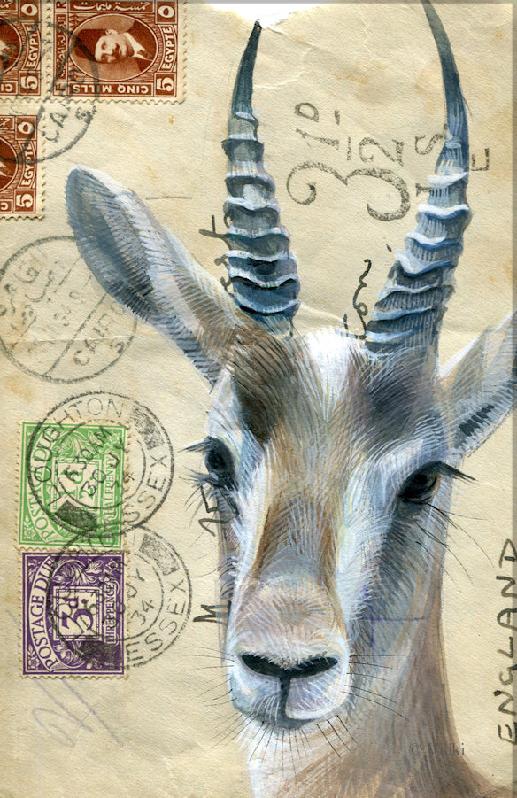 Dubbel kaart Antilope