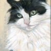 Dubbele kaart Kat