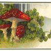 Ansichtkaart paddenstoelen