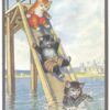 Ansichtkaart katten op waterglijbaan