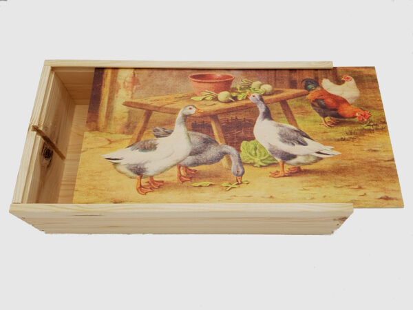 Geschenkkistje Ganzen en kippen