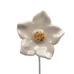 petunia wit petunia wit