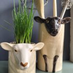 pennenpot schaap wit met plant