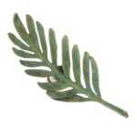 Meubelknop blad groen