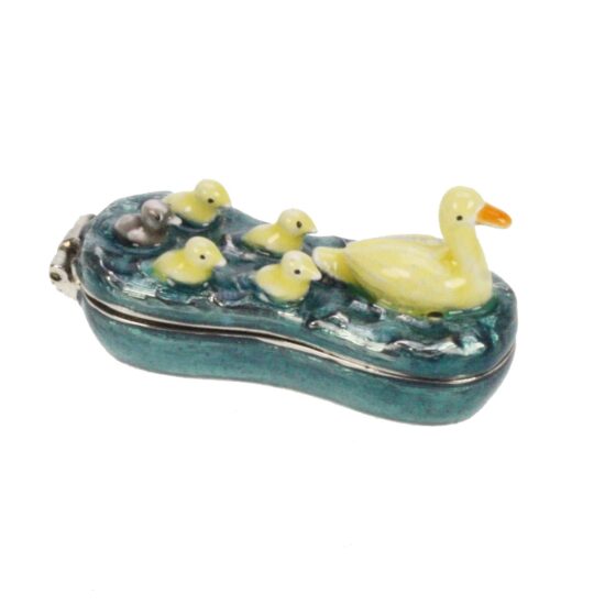 Doosje eendjes in water