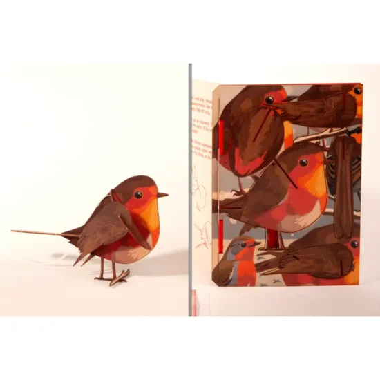 Roodborstje-3D puzzel kaart hout